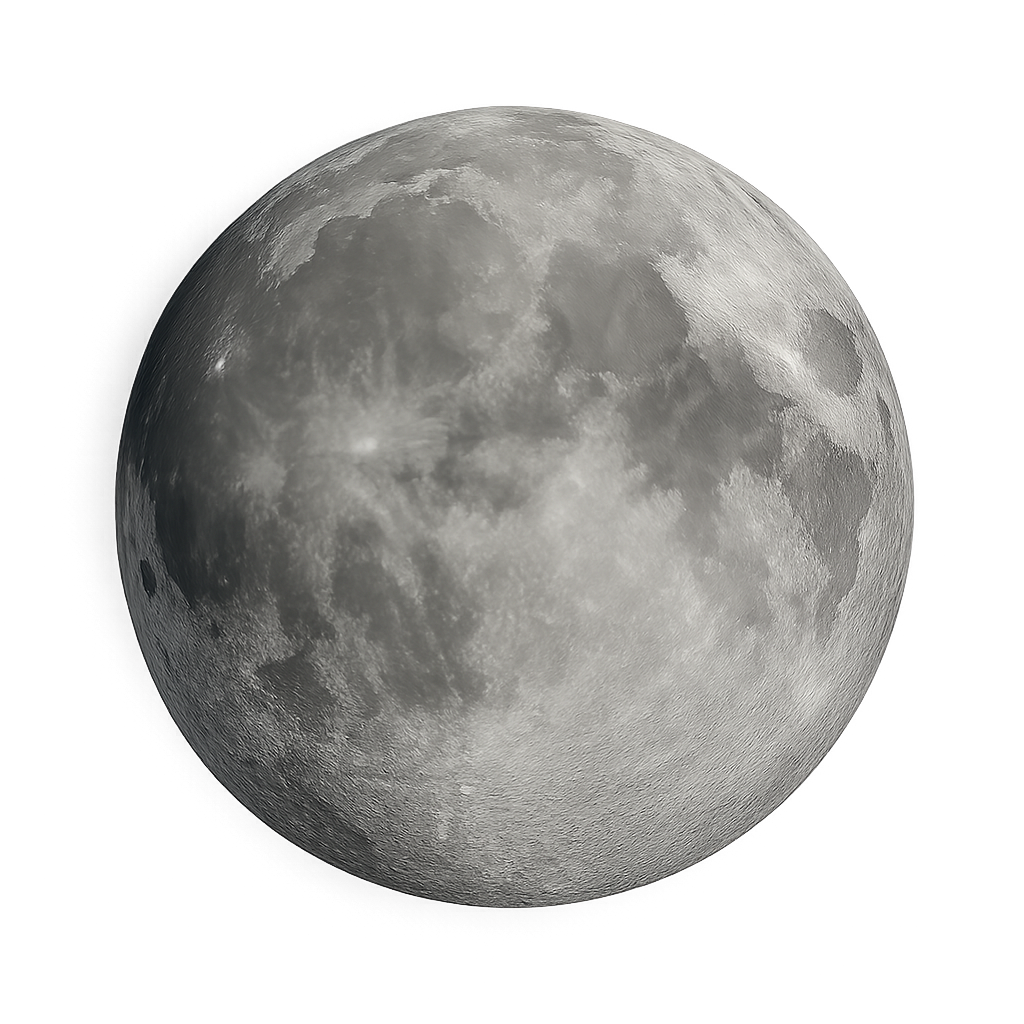 Do you need a full-stack online application?