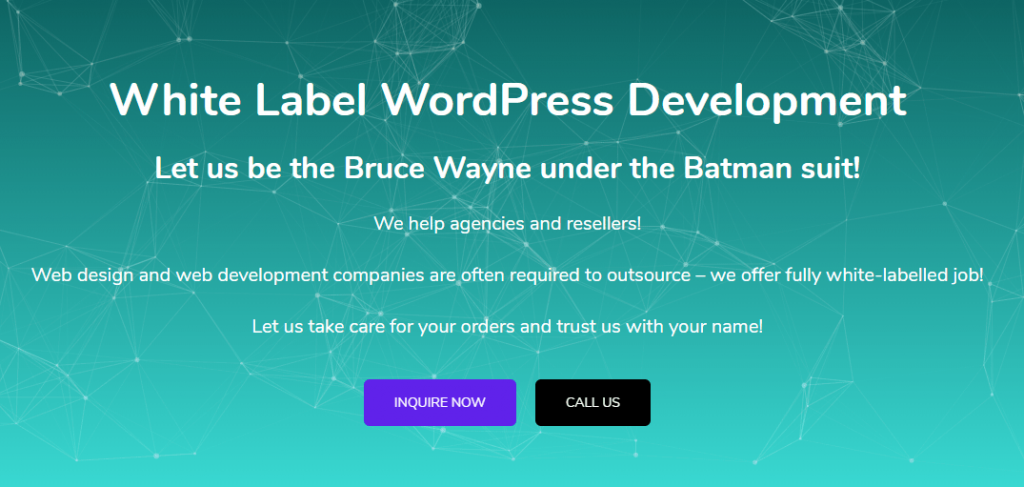 White Label WordPress разработка