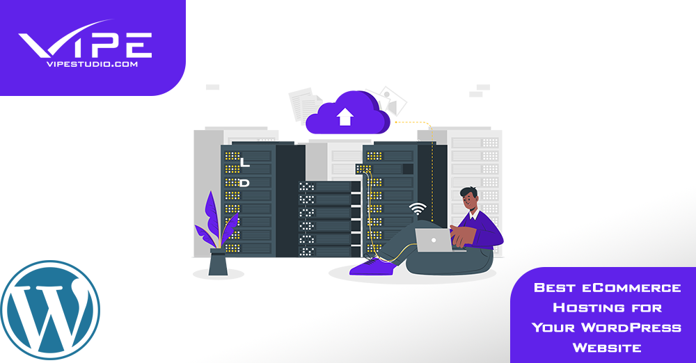 Best eCommerce Hosting for Your WordPress Website